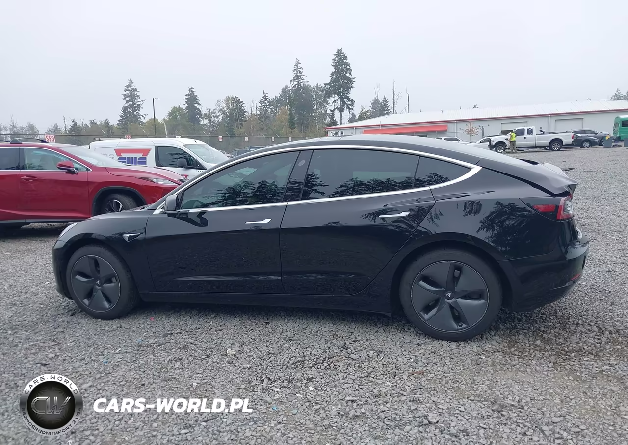 2019 Tesla Model 3 Long Range-Mid Range-Standard Range-Standard Range Plus VIN:5YJ3E1EA7KF395854 - 14