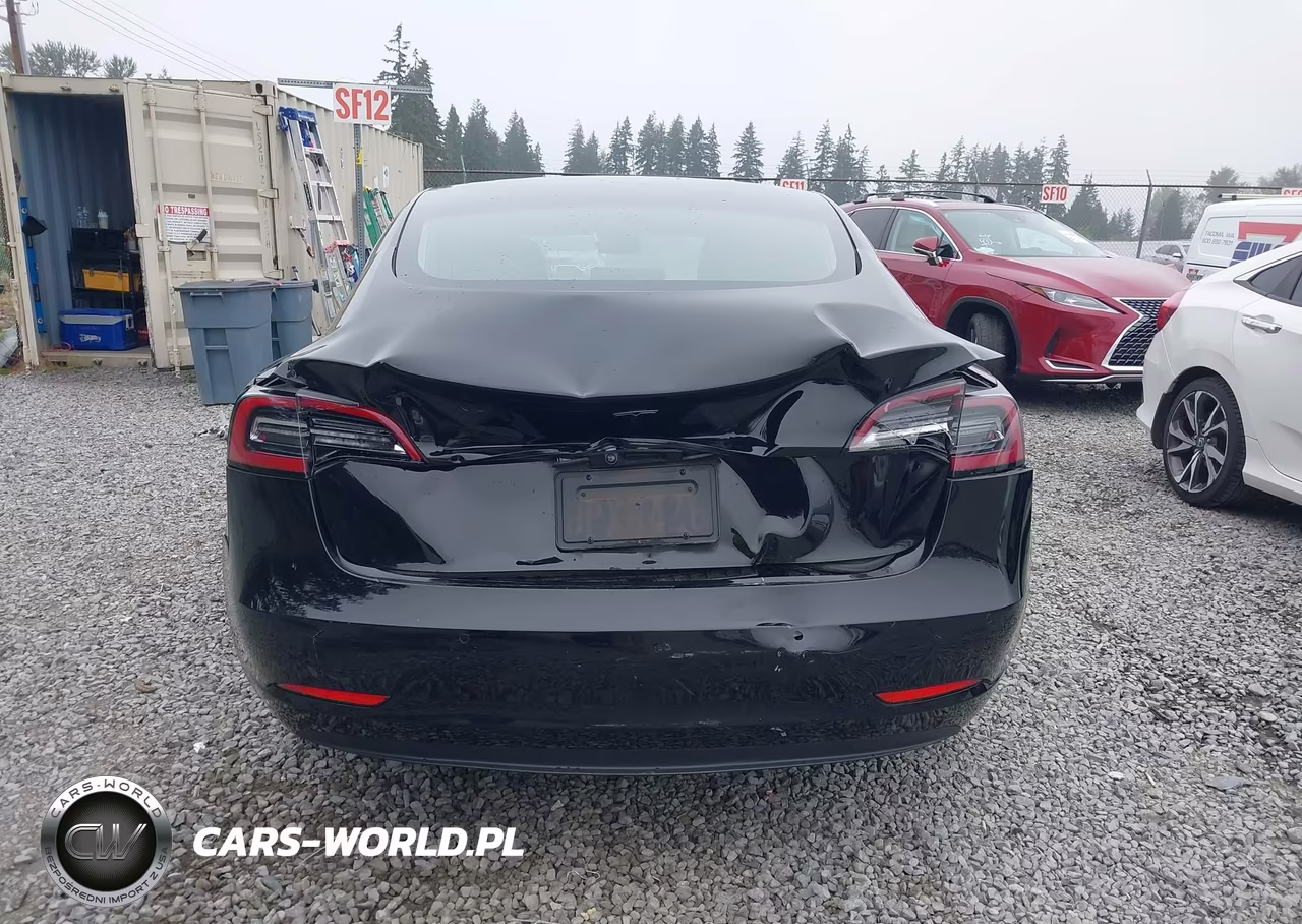 2019 Tesla Model 3 Long Range-Mid Range-Standard Range-Standard Range Plus VIN:5YJ3E1EA7KF395854 - 16