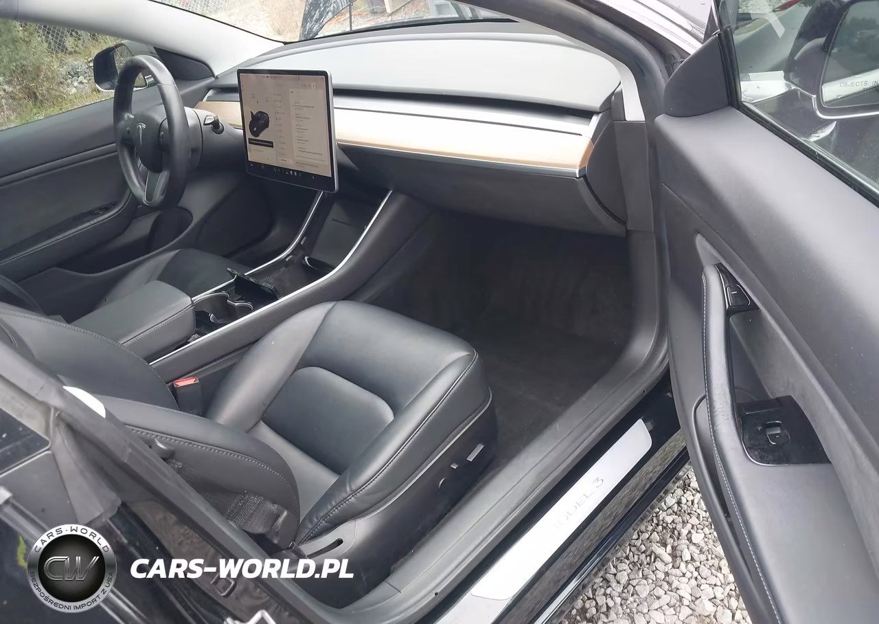 2019 Tesla Model 3 Long Range-Mid Range-Standard Range-Standard Range Plus VIN:5YJ3E1EA7KF395854 - 19