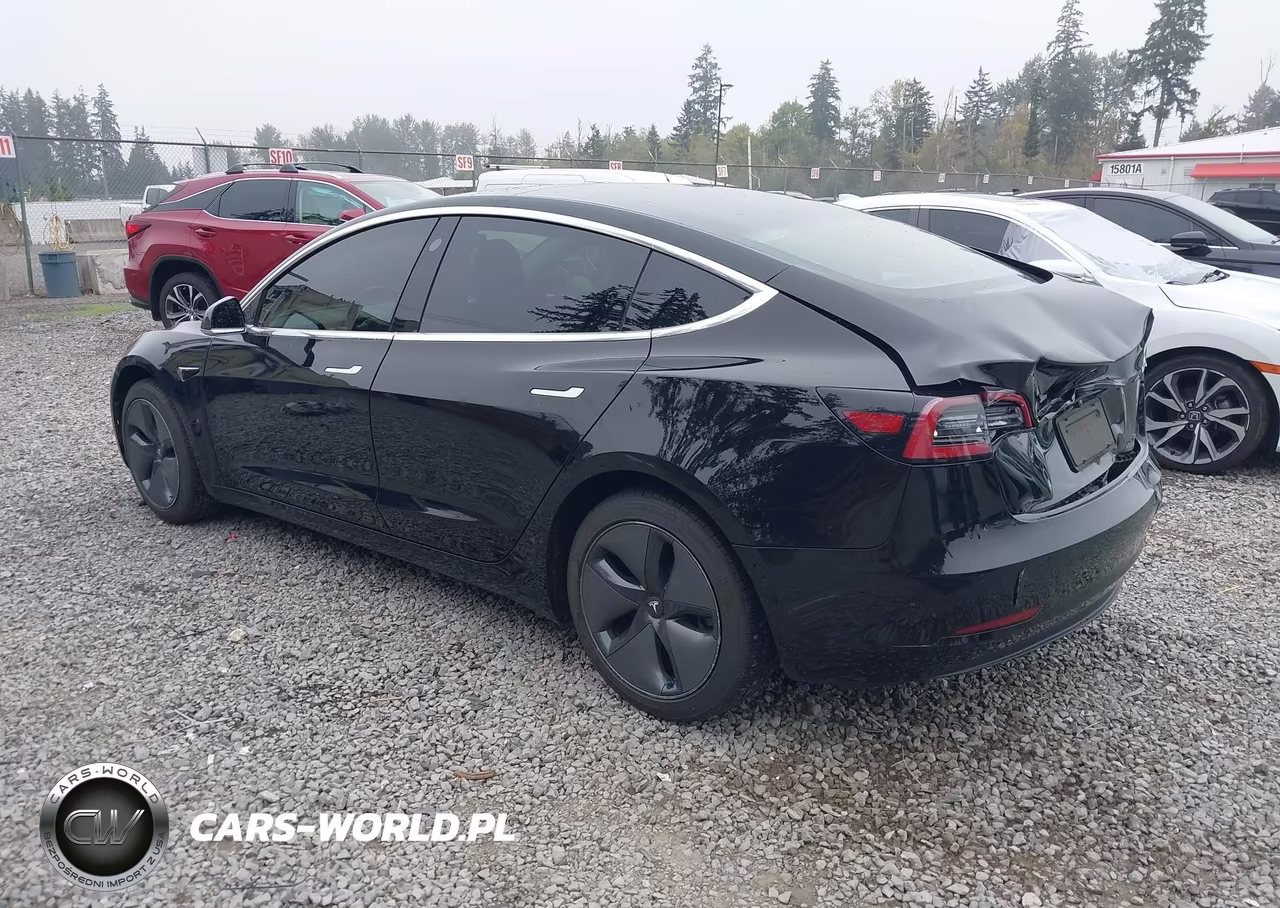 2019 Tesla Model 3 Long Range-Mid Range-Standard Range-Standard Range Plus VIN:5YJ3E1EA7KF395854 - 3