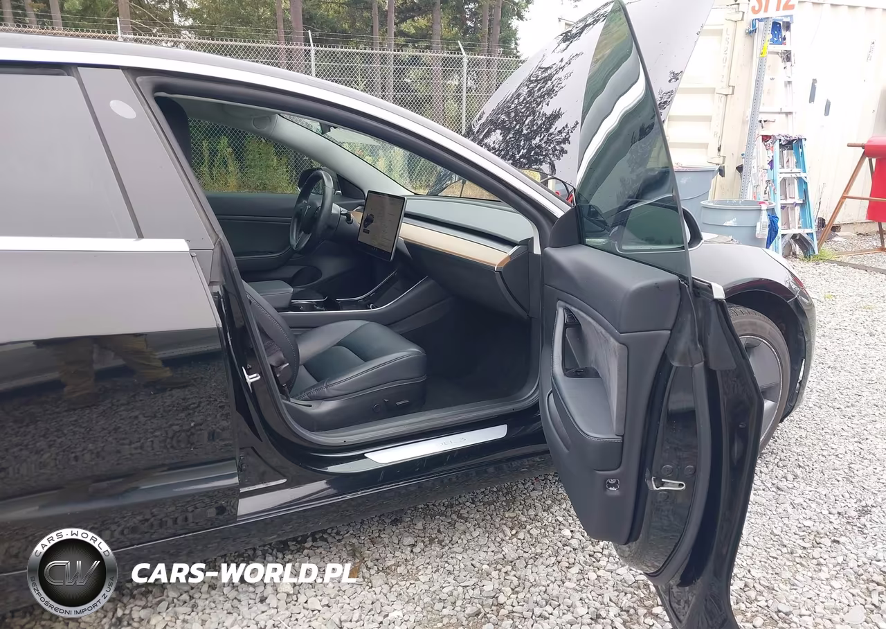 2019 Tesla Model 3 Long Range-Mid Range-Standard Range-Standard Range Plus VIN:5YJ3E1EA7KF395854 - 5