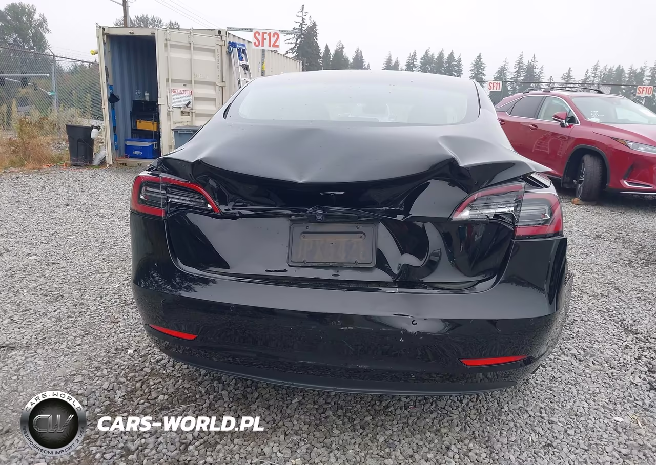 2019 Tesla Model 3 Long Range-Mid Range-Standard Range-Standard Range Plus VIN:5YJ3E1EA7KF395854 - 6