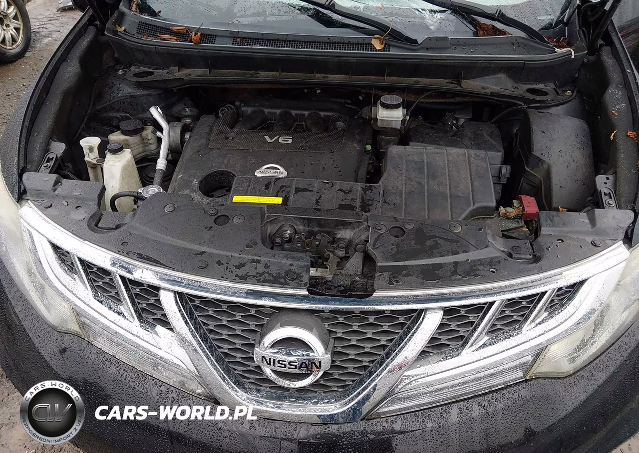 2011 Nissan Murano Sl VIN:JN8AZ1MW1BW154476 - 10