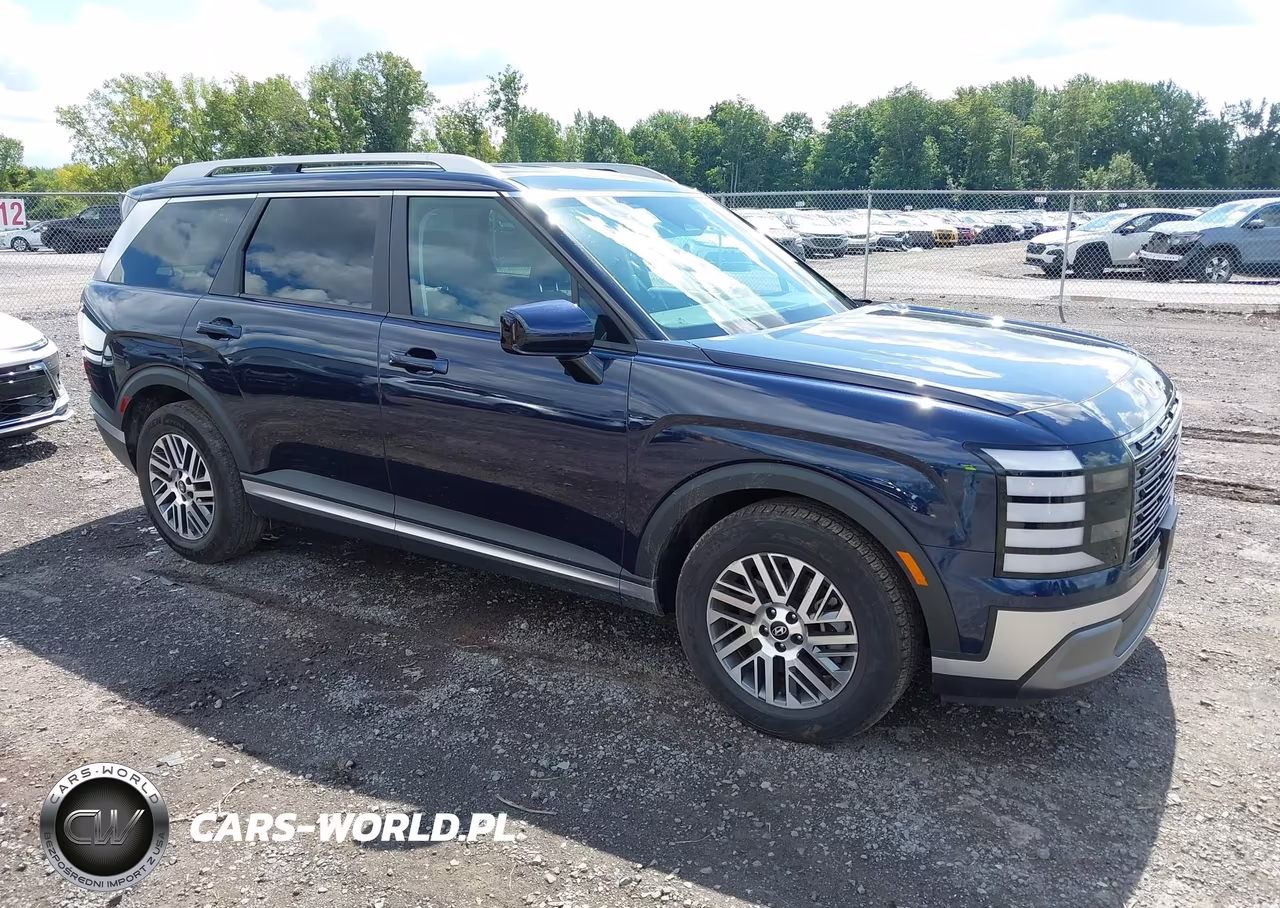 2026 Hyundai Palisade Sel 7P VIN:KM8RLES21TU116620 - 1