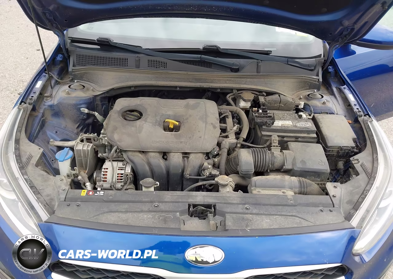 2019 Kia Forte Lxs VIN:3KPF24AD9KE130284 - 10