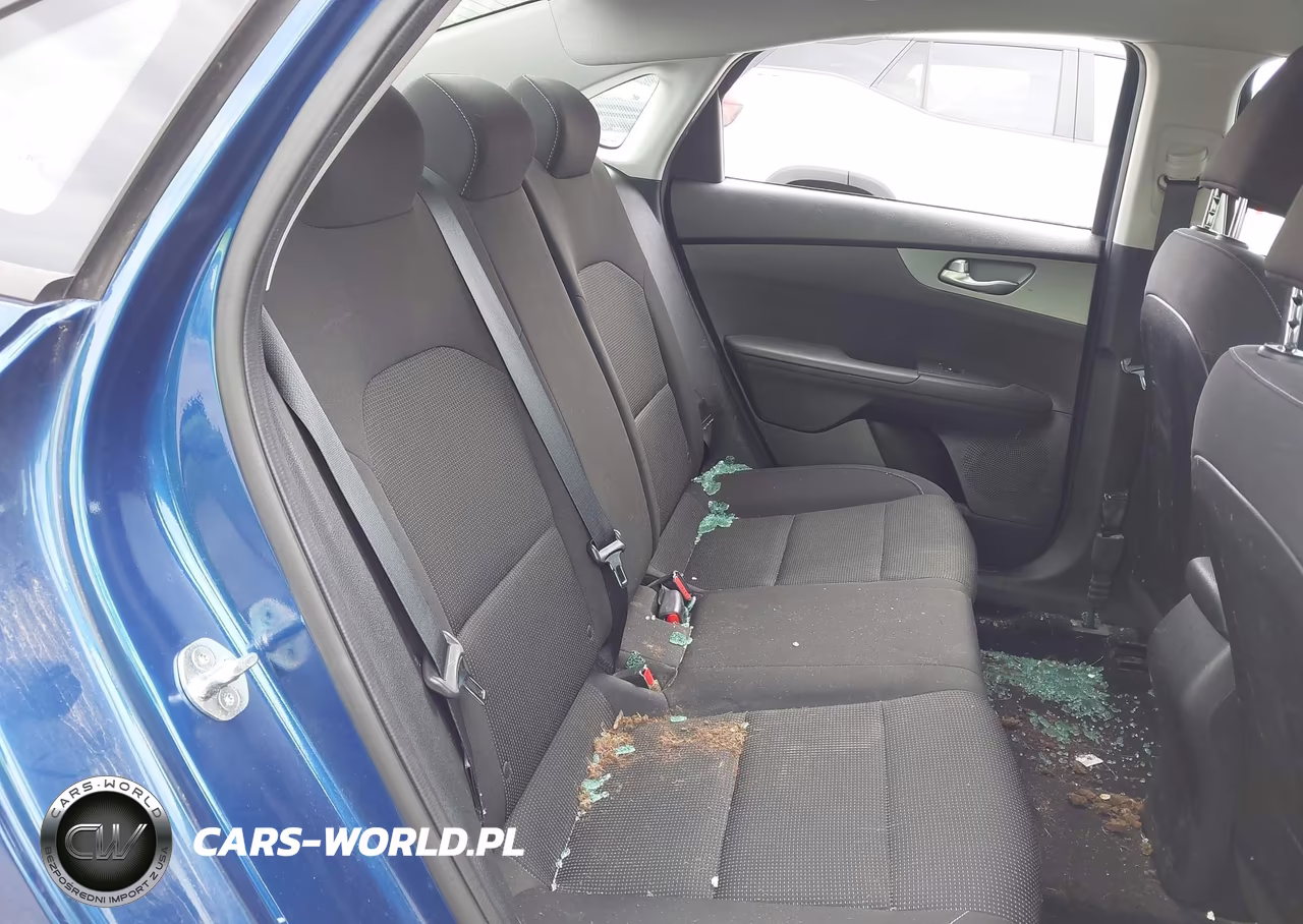 2019 Kia Forte Lxs VIN:3KPF24AD9KE130284 - 8