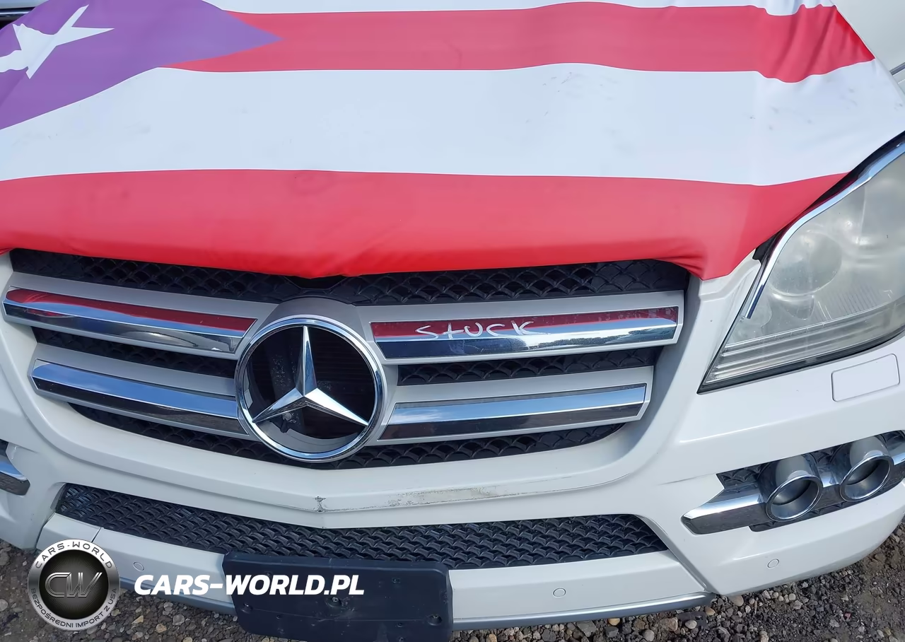 2011 Mercedes-Benz Gl 450 4Matic VIN:4JGBF7BE9BA659535 - 10