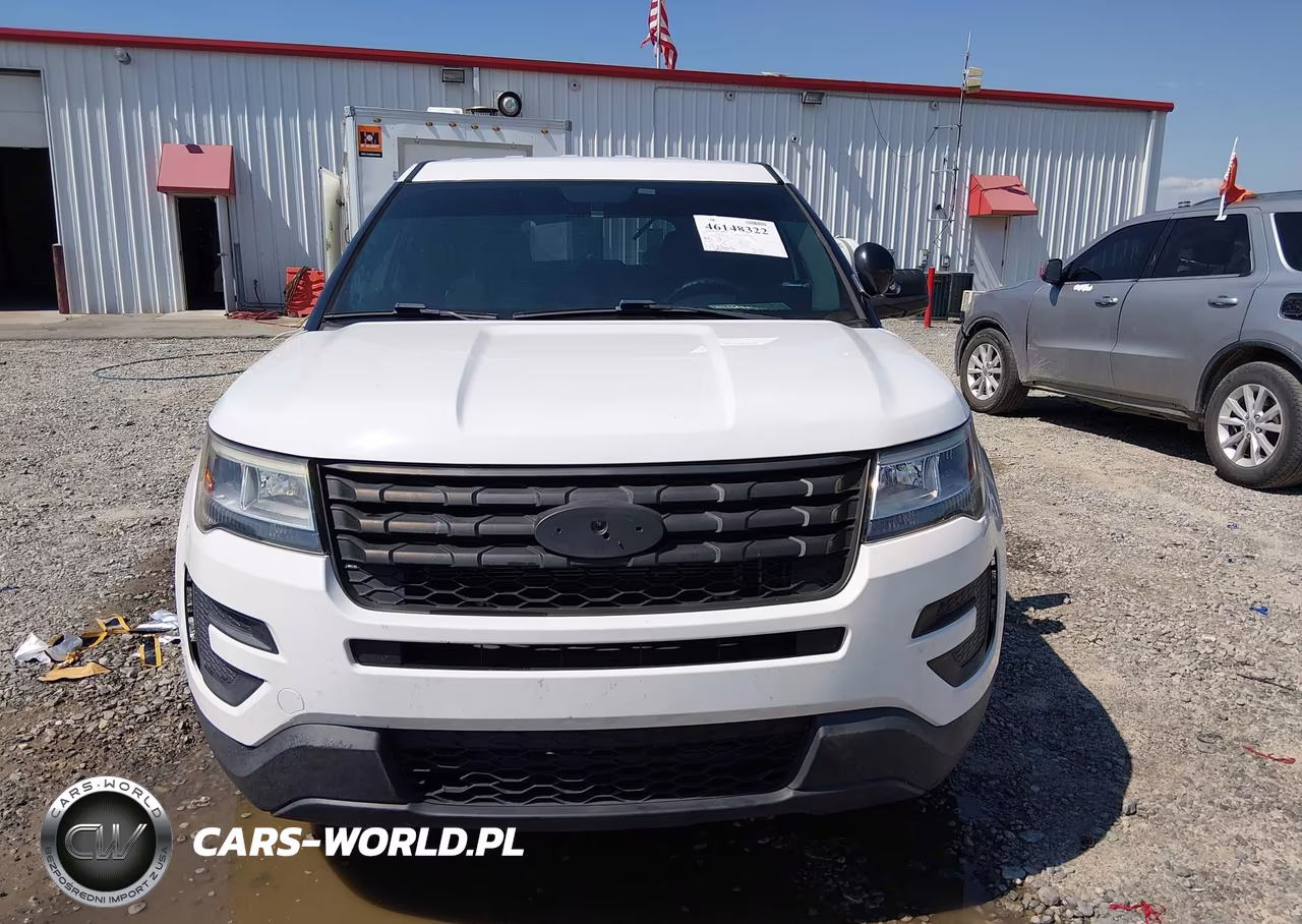 2019 Ford Police Interceptor Utility VIN:1FM5K8AR9KGA19745 - 12