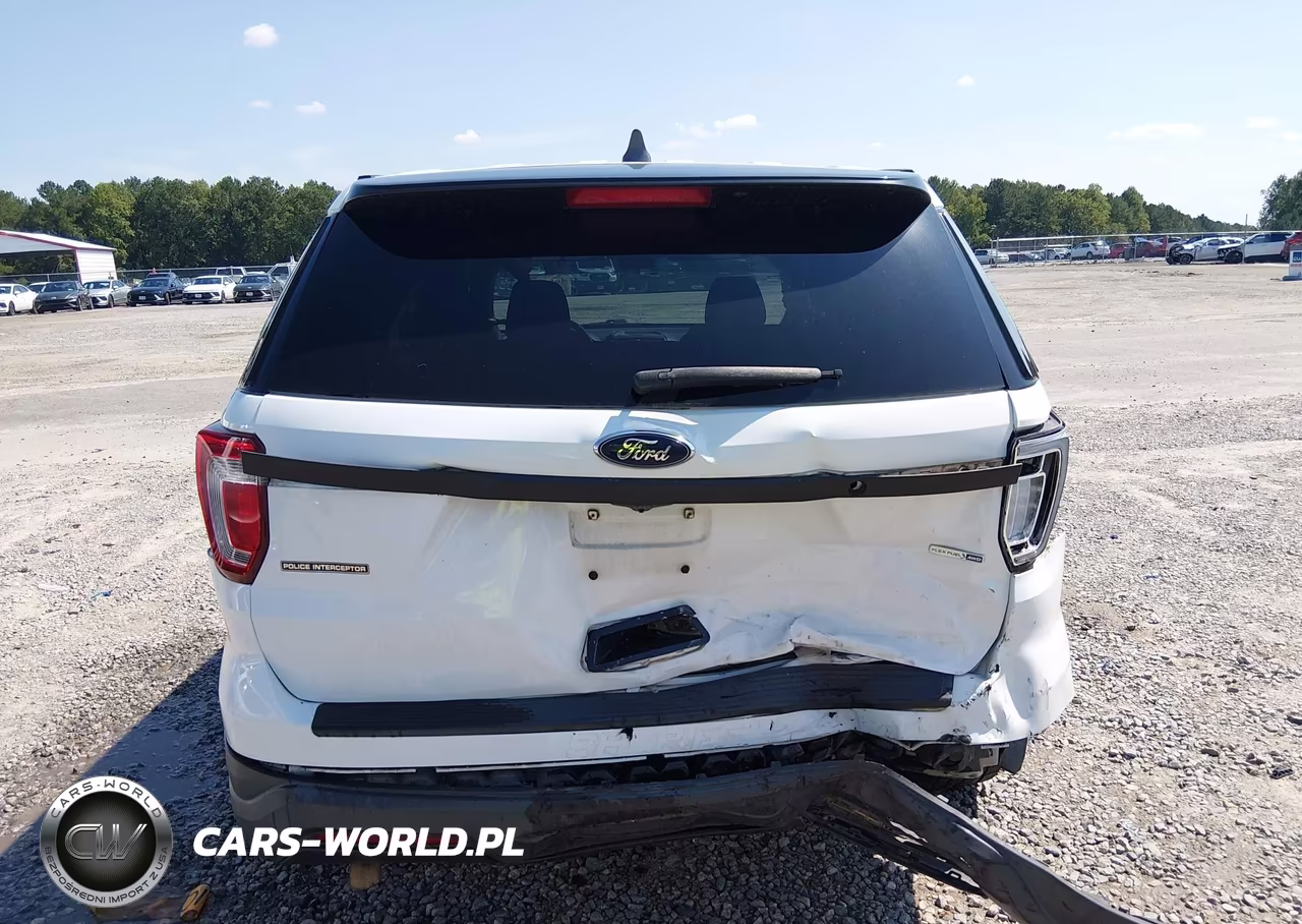 2019 Ford Police Interceptor Utility VIN:1FM5K8AR9KGA19745 - 16