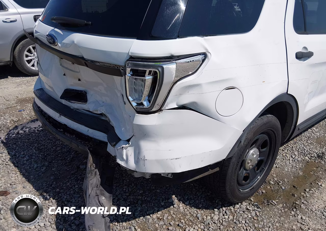 2019 Ford Police Interceptor Utility VIN:1FM5K8AR9KGA19745 - 17
