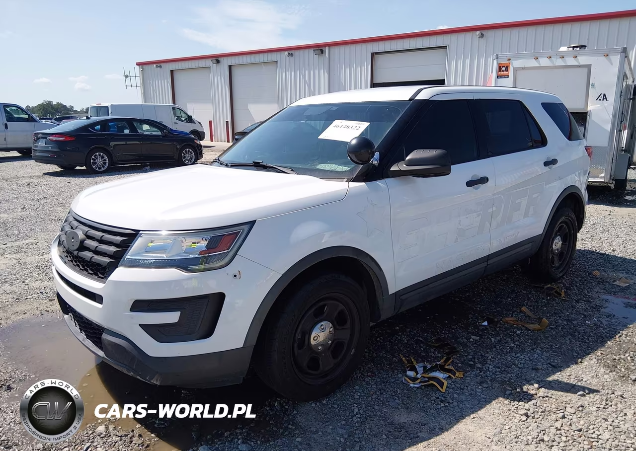 2019 Ford Police Interceptor Utility VIN:1FM5K8AR9KGA19745 - 2