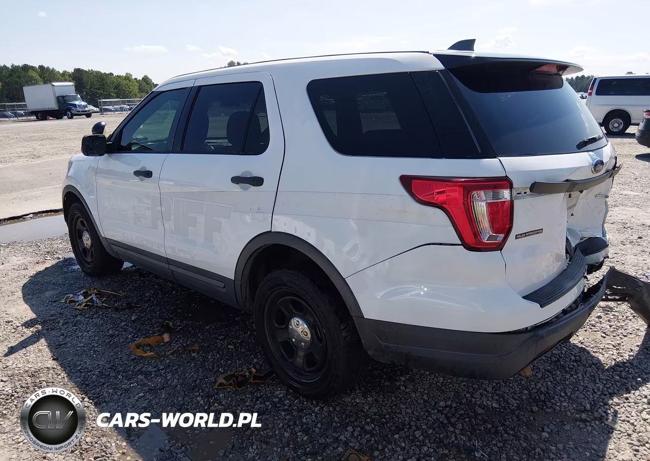 2019 Ford Police Interceptor Utility VIN:1FM5K8AR9KGA19745 - 3