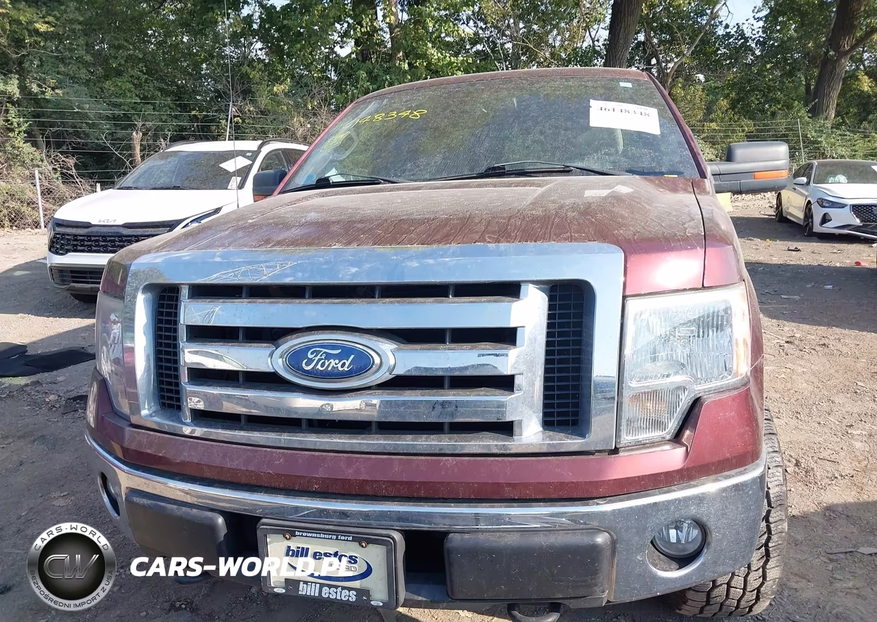 2009 Ford F-150 Fx4-Lariat-Xl-Xlt VIN:1FTPX14V69FA89380 - 12