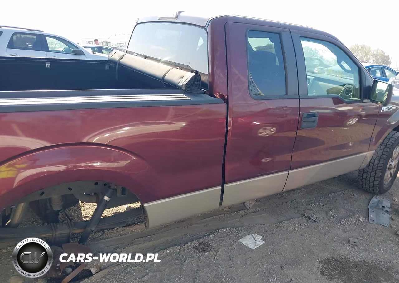 2009 Ford F-150 Fx4-Lariat-Xl-Xlt VIN:1FTPX14V69FA89380 - 13