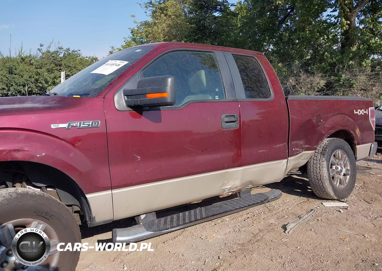 2009 Ford F-150 Fx4-Lariat-Xl-Xlt VIN:1FTPX14V69FA89380 - 14