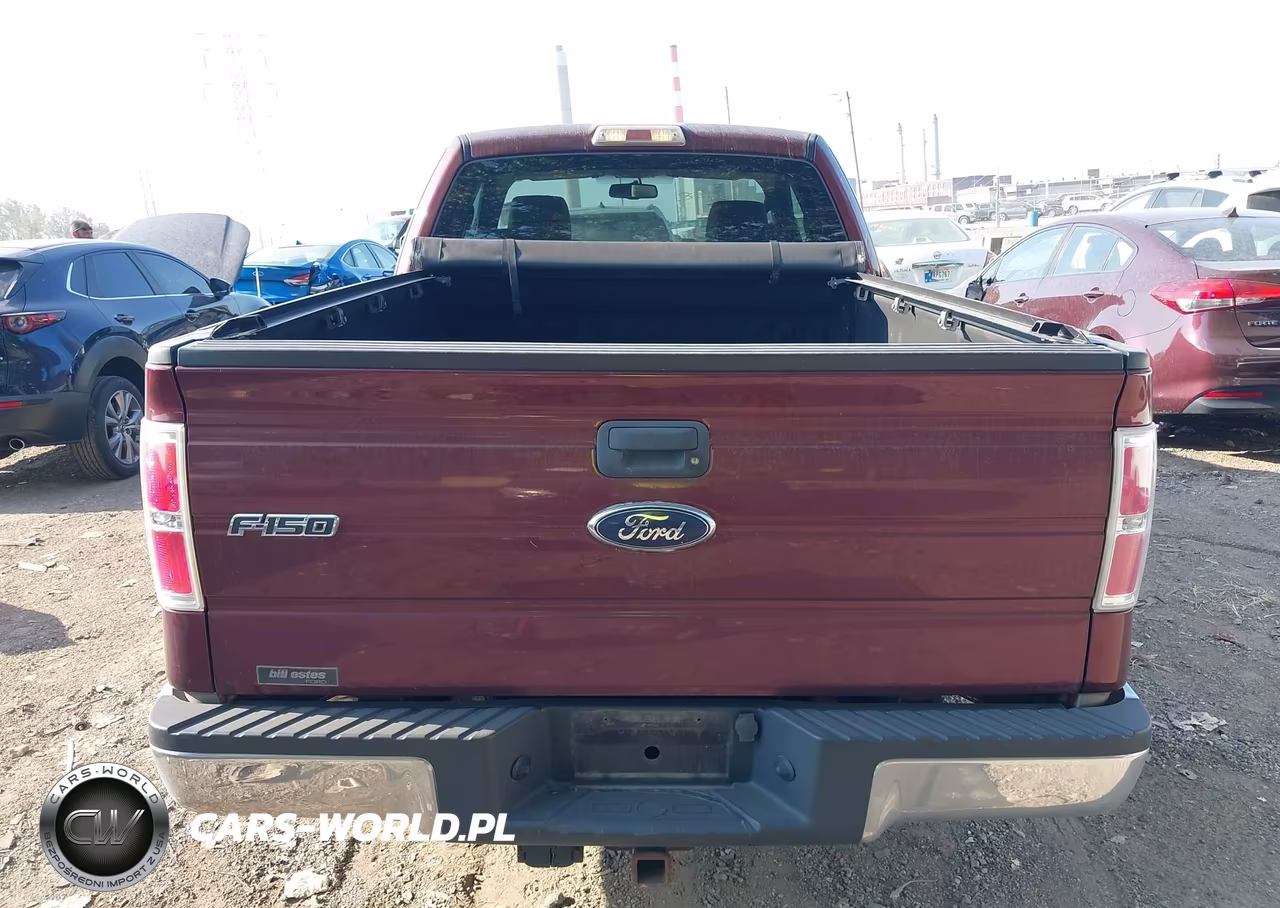 2009 Ford F-150 Fx4-Lariat-Xl-Xlt VIN:1FTPX14V69FA89380 - 16