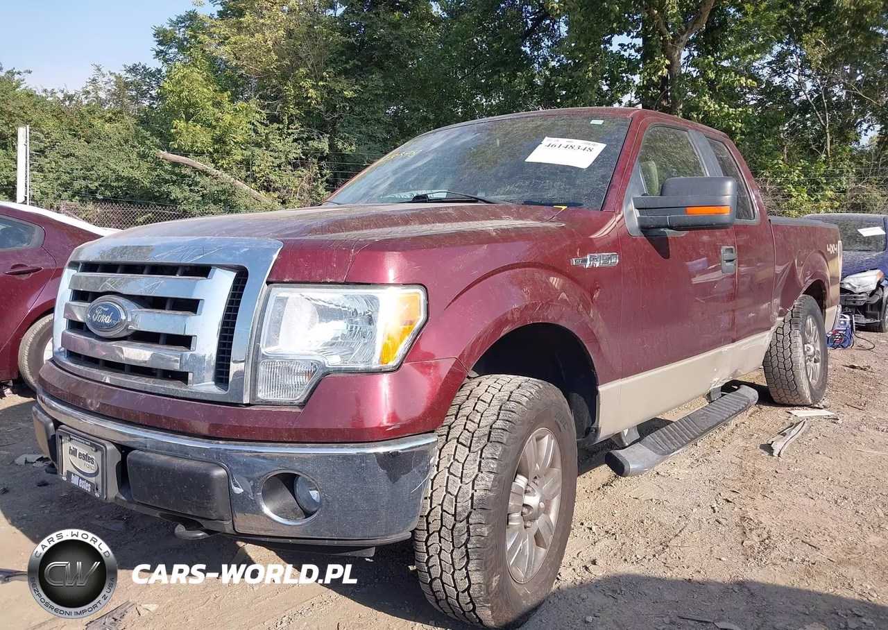 2009 Ford F-150 Fx4-Lariat-Xl-Xlt VIN:1FTPX14V69FA89380 - 2