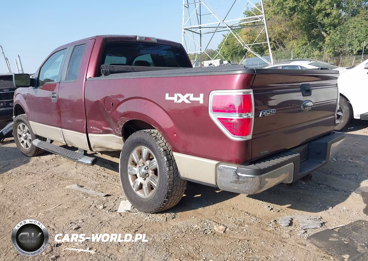 2009 Ford F-150 Fx4-Lariat-Xl-Xlt VIN:1FTPX14V69FA89380 - 3