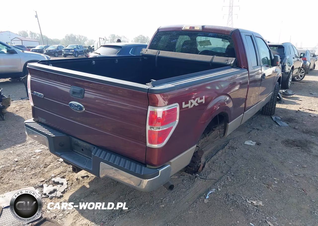 2009 Ford F-150 Fx4-Lariat-Xl-Xlt VIN:1FTPX14V69FA89380 - 4