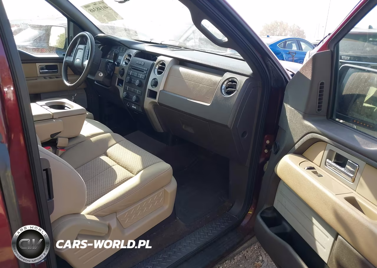 2009 Ford F-150 Fx4-Lariat-Xl-Xlt VIN:1FTPX14V69FA89380 - 5