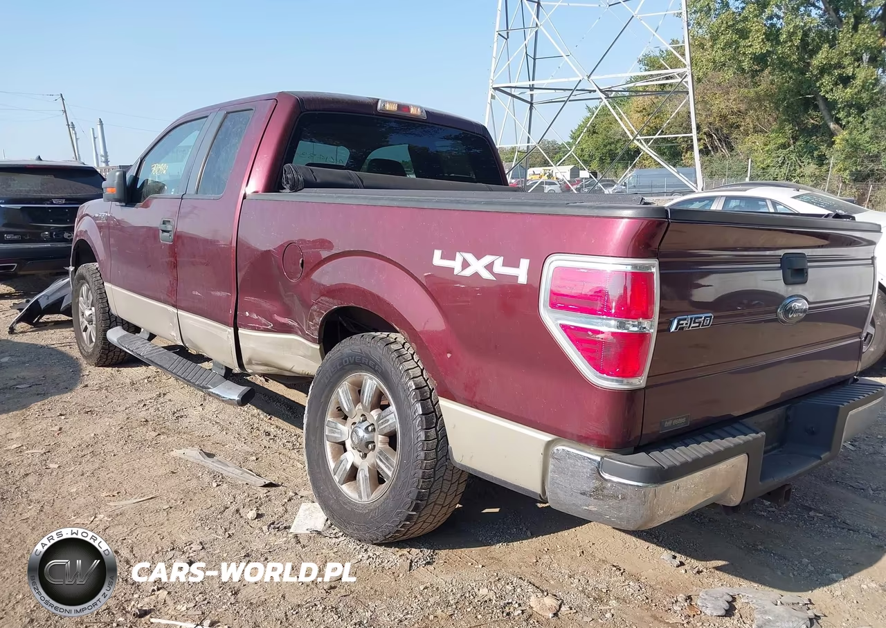 2009 Ford F-150 Fx4-Lariat-Xl-Xlt VIN:1FTPX14V69FA89380 - 6