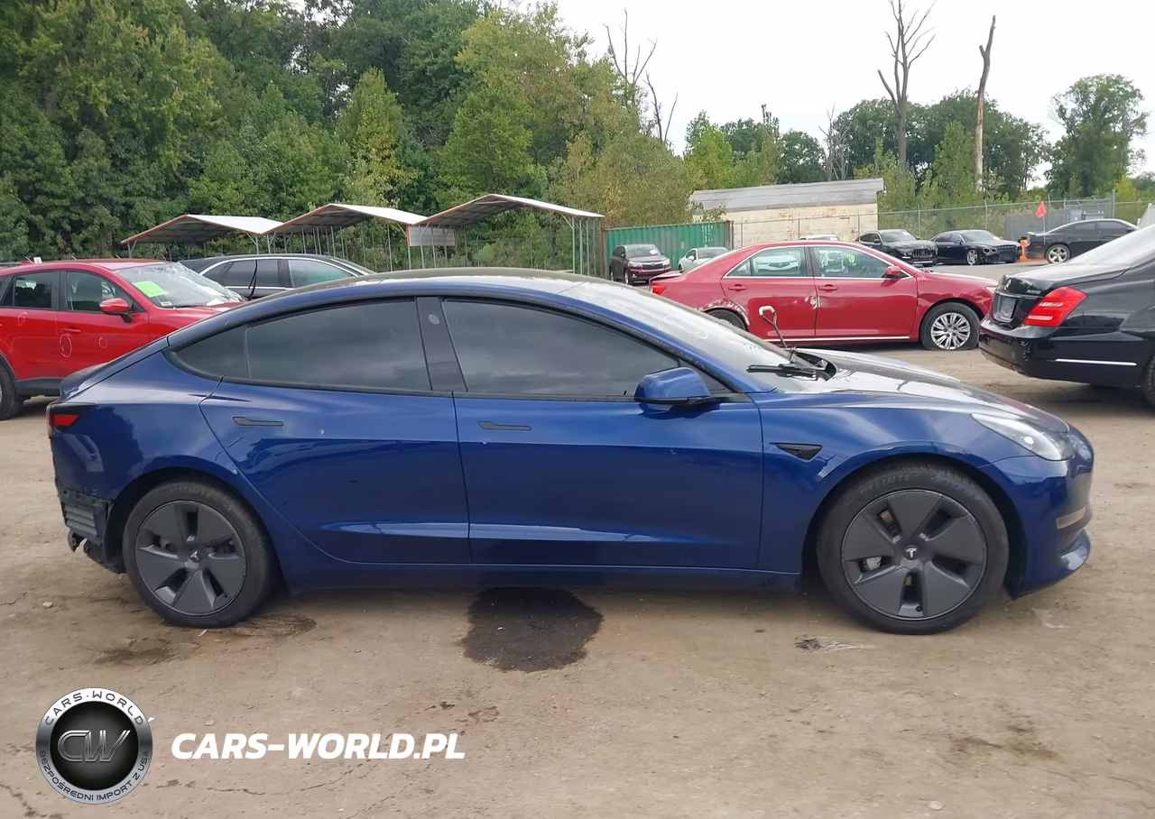 2023 Tesla Model 3 Rear-Wheel Drive VIN:5YJ3E1EA7PF385042 - 12