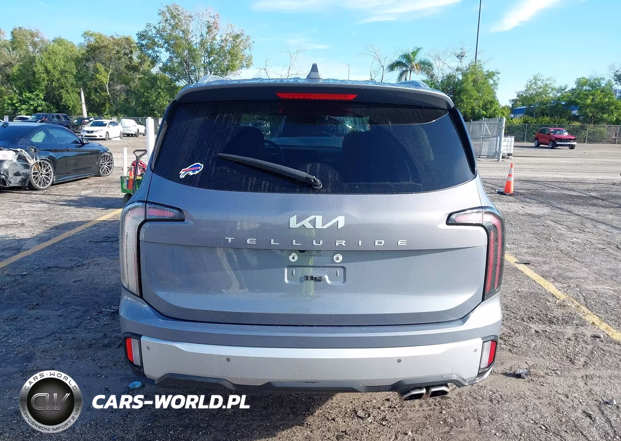 2024 Kia Telluride Ex VIN:5XYP34GC5RG552775 - 17