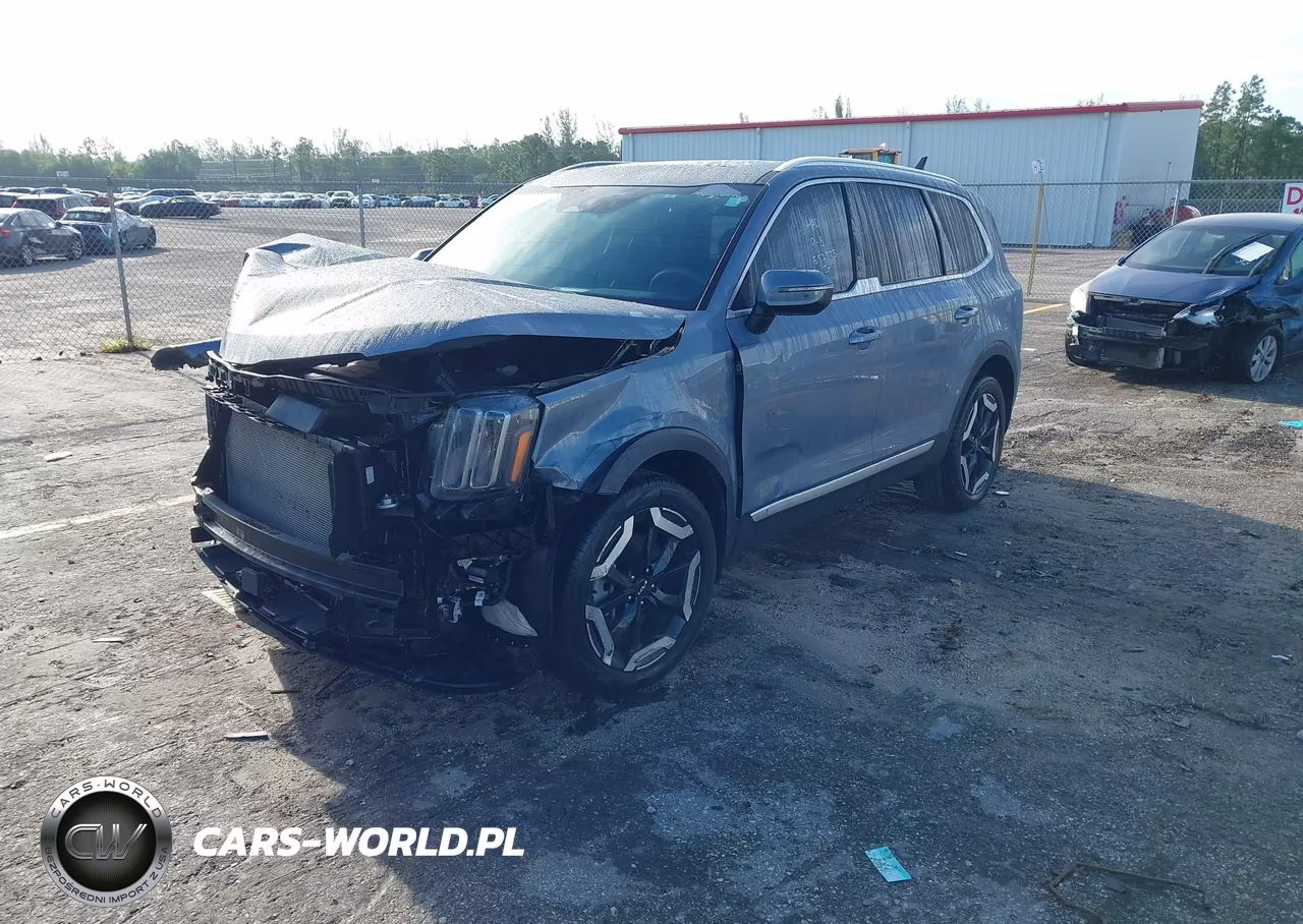 2024 Kia Telluride Ex VIN:5XYP34GC5RG552775 - 2