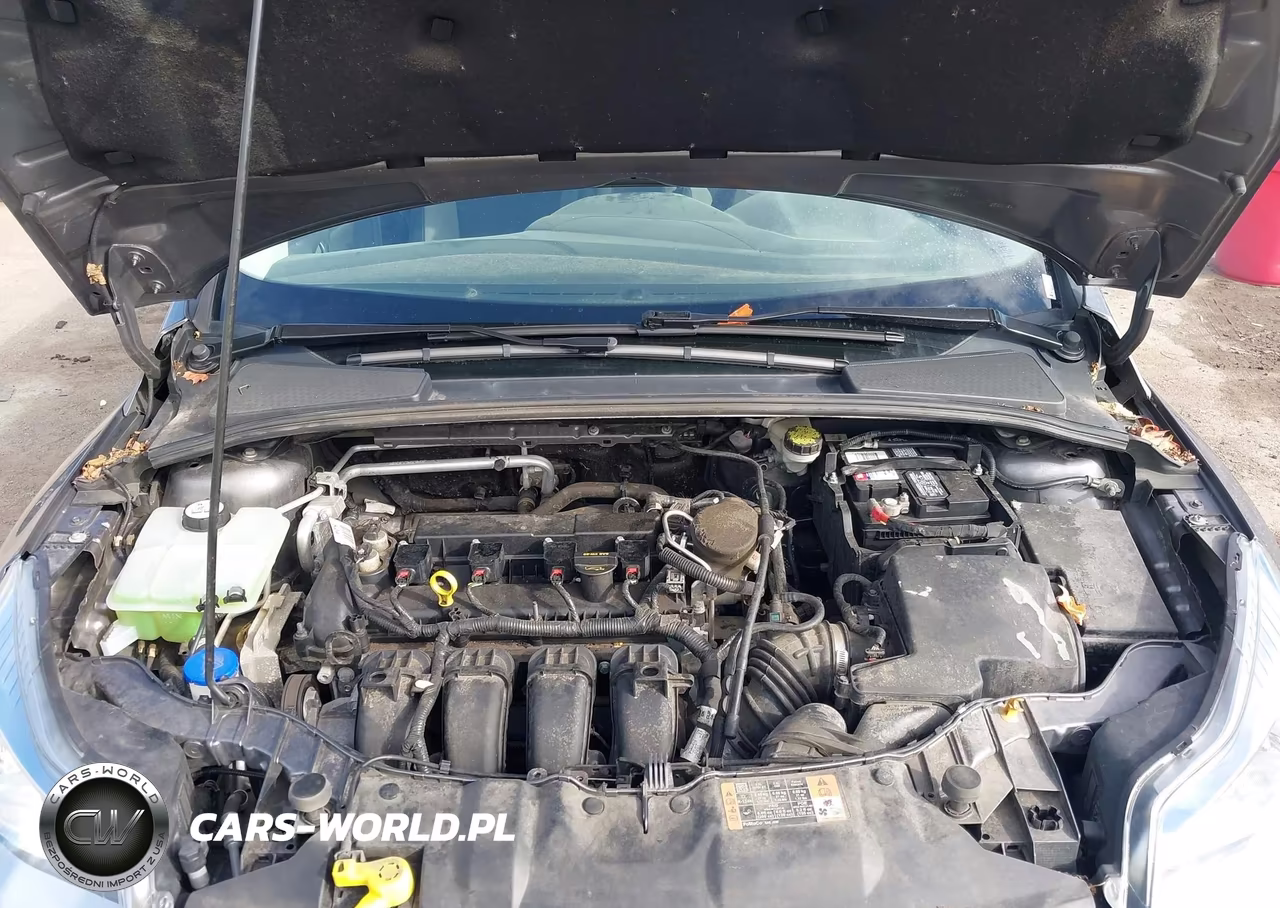 2014 Ford Focus Se VIN:1FADP3K23EL380704 - 10