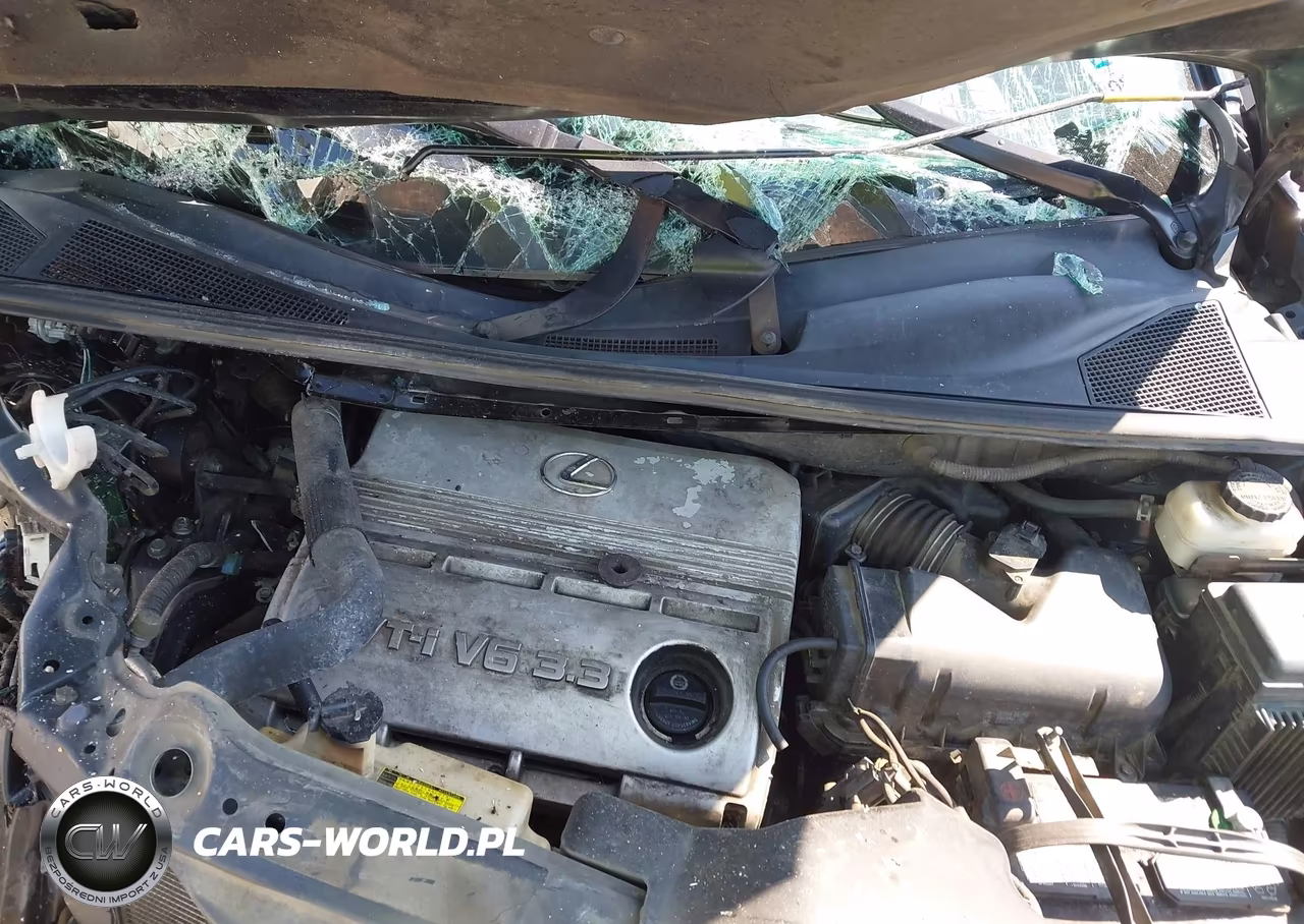 2005 Lexus Rx 330 VIN:2T2GA31U95C036910 - 10