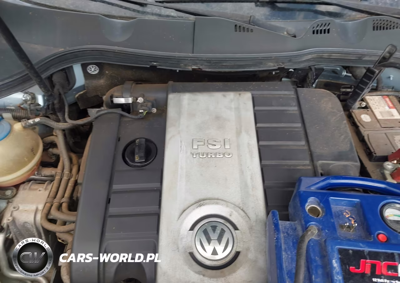2006 Volkswagen Passat 2.0T VIN:WVWEK93C66P040819 - 10