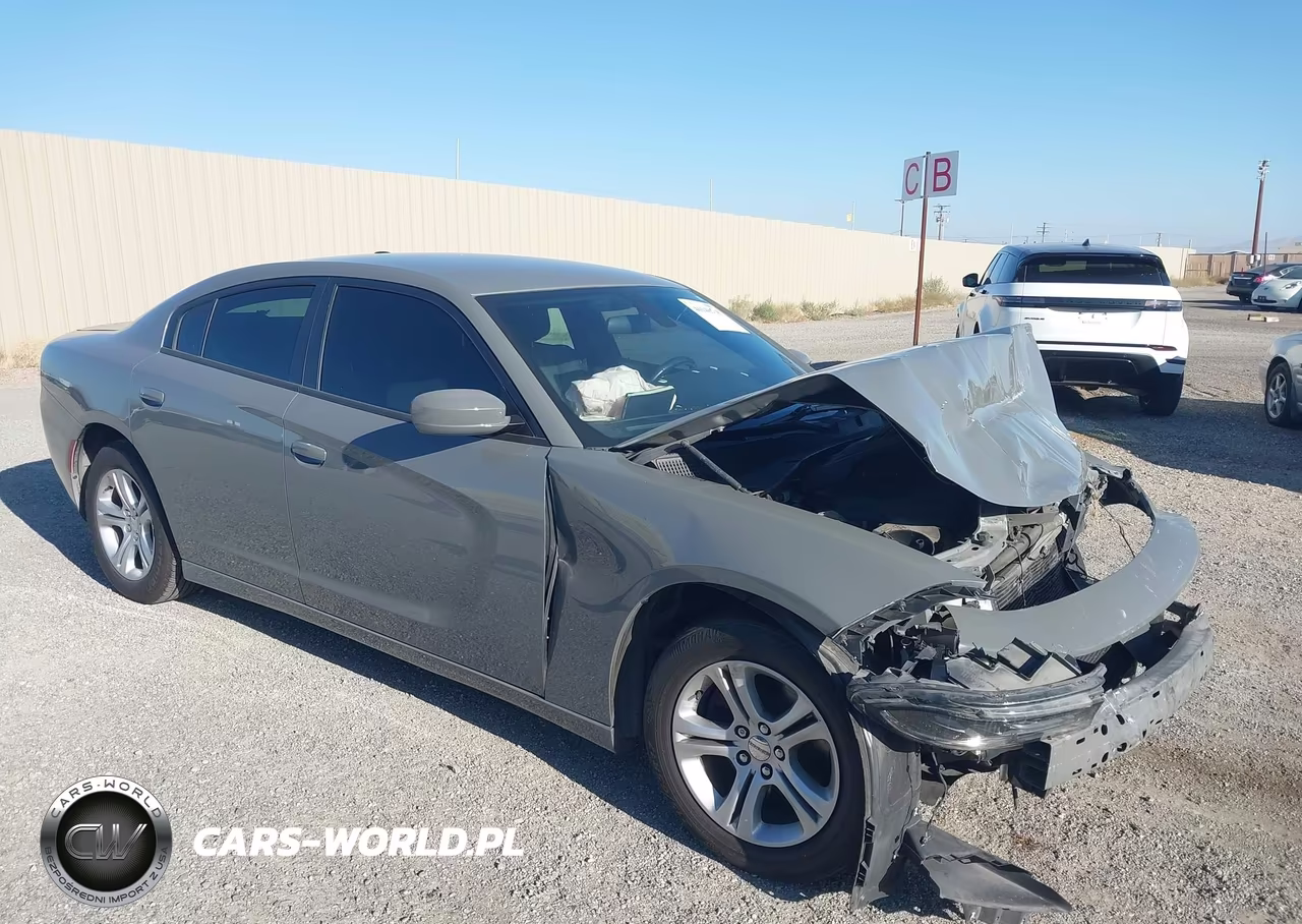 2019 Dodge Charger Sxt Rwd