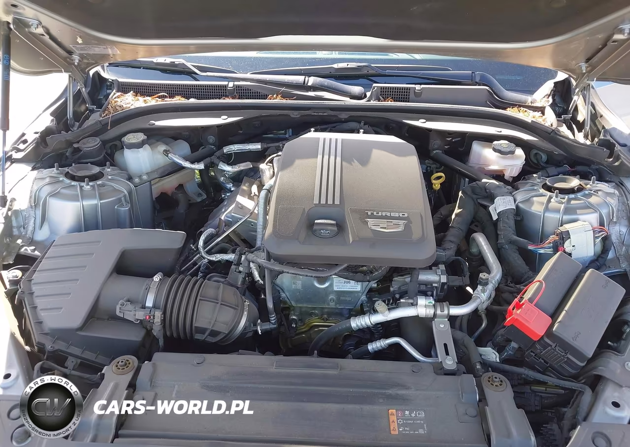 2023 Cadillac Ct5 Luxury VIN:1G6DM5RK4P0151363 - 10