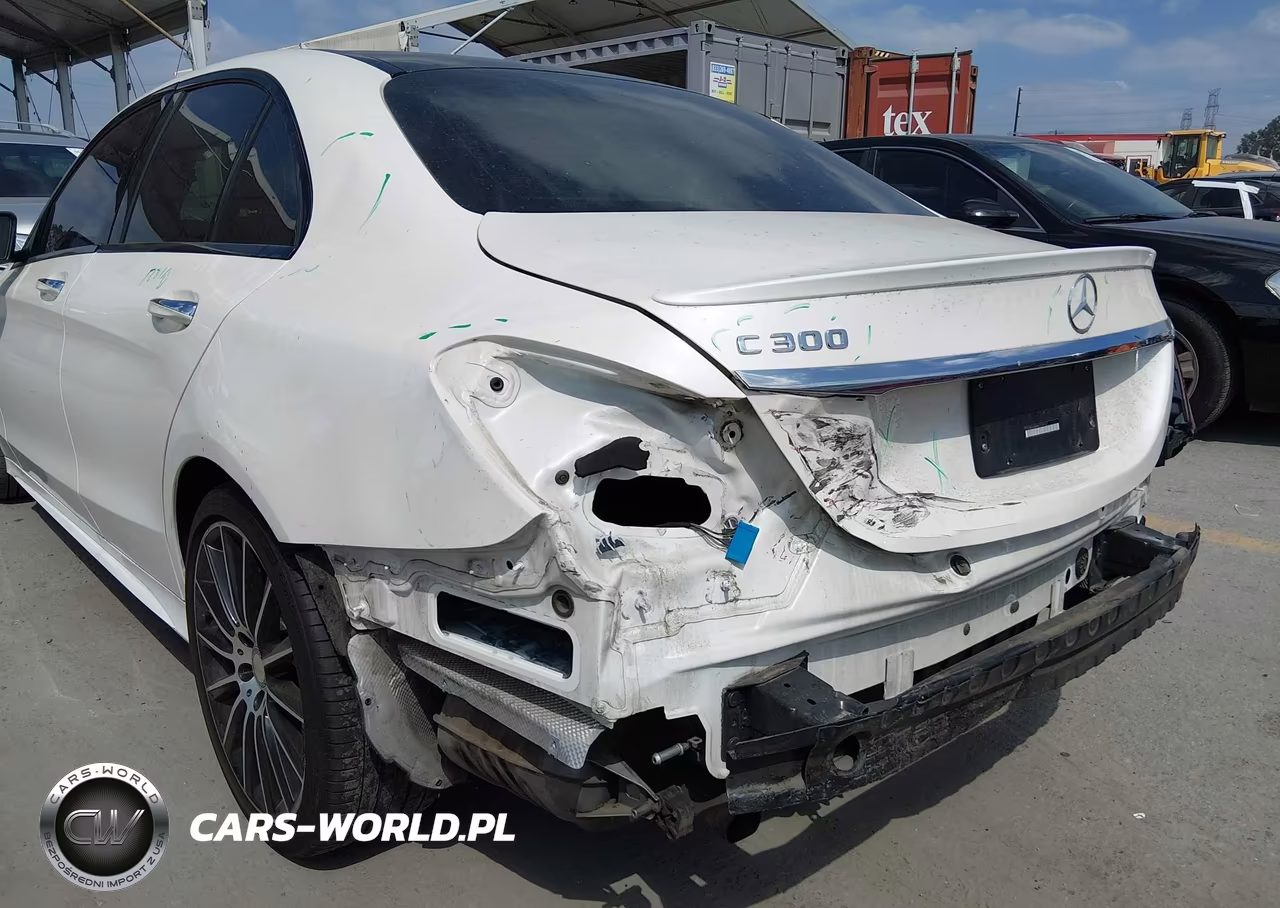 2017 Mercedes-Benz C 300 Sport VIN:55SWF4JB4HU179767 - 17