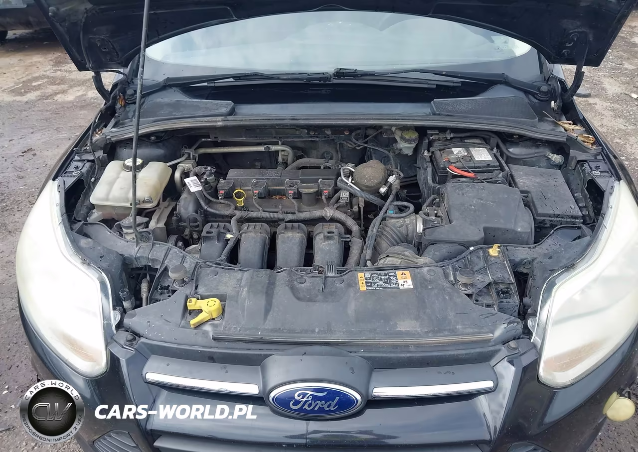 2014 Ford Focus Se VIN:1FADP3F22EL349342 - 10