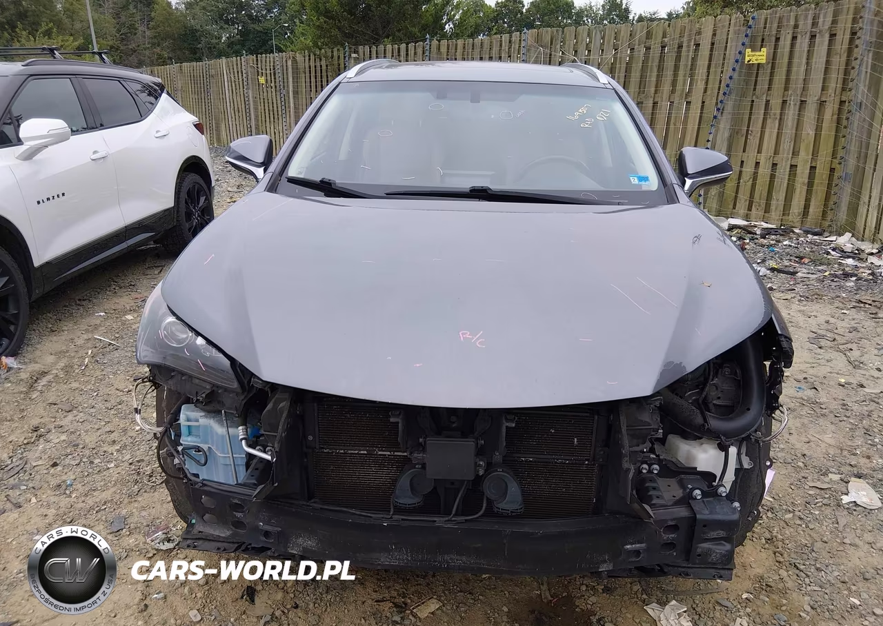 2017 Lexus Nx 300H VIN:JTJBJRBZ5H2055918 - 13