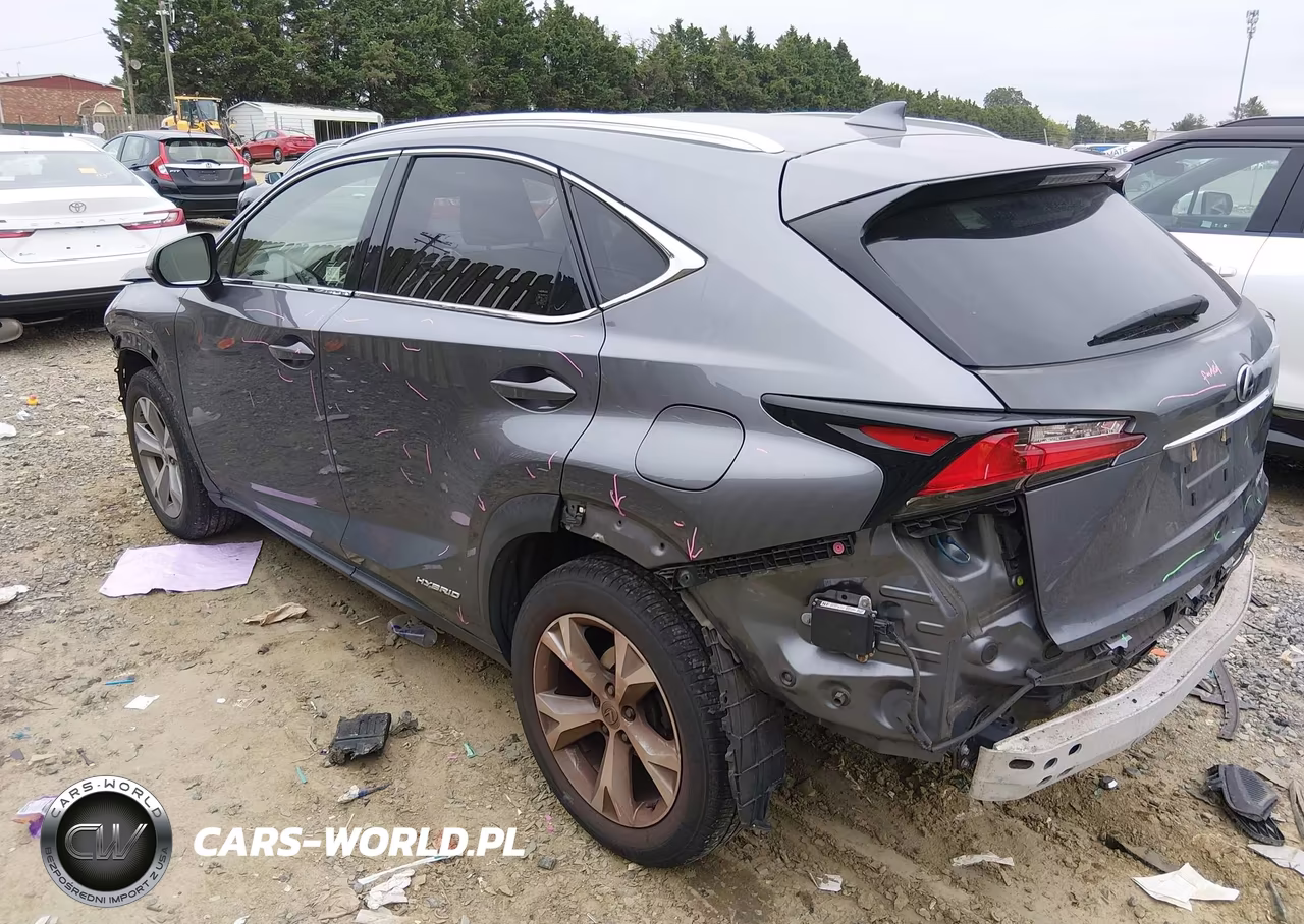 2017 Lexus Nx 300H VIN:JTJBJRBZ5H2055918 - 3