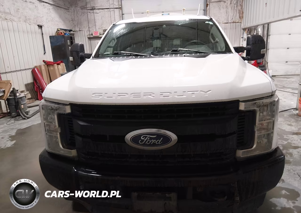 2019 Ford F-250 Xl VIN:1FT7X2B62KED43227 - 11