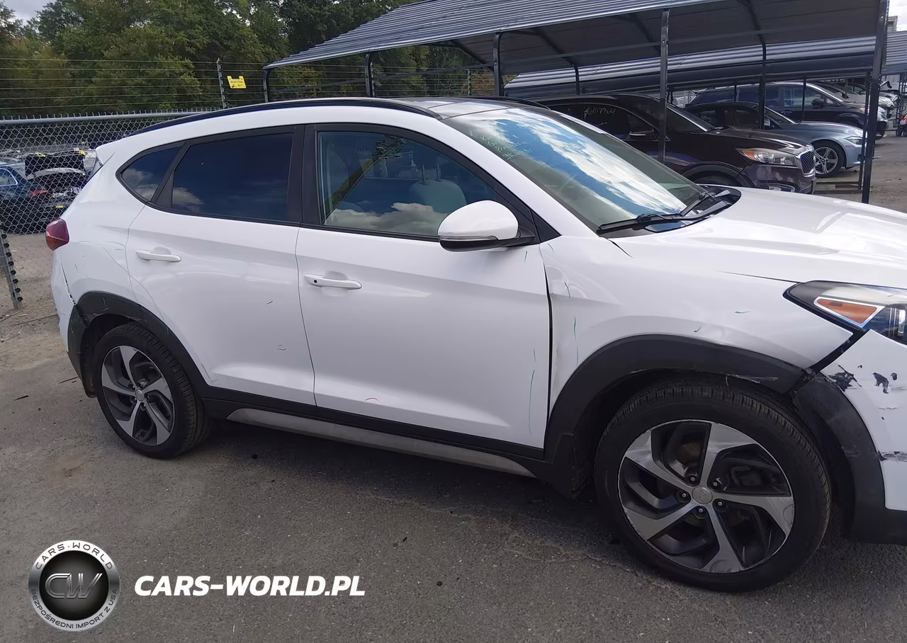 2018 Hyundai Tucson Value VIN:KM8J3CA24JU725619 - 13