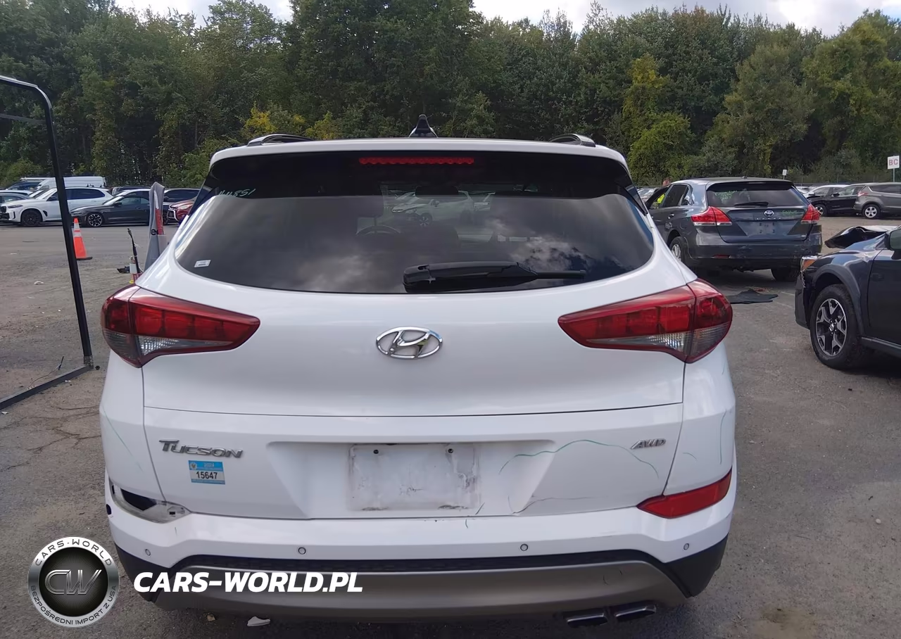 2018 Hyundai Tucson Value VIN:KM8J3CA24JU725619 - 16