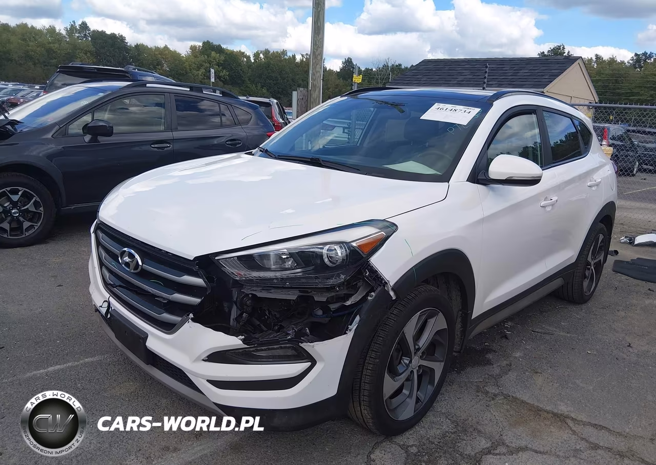 2018 Hyundai Tucson Value VIN:KM8J3CA24JU725619 - 2