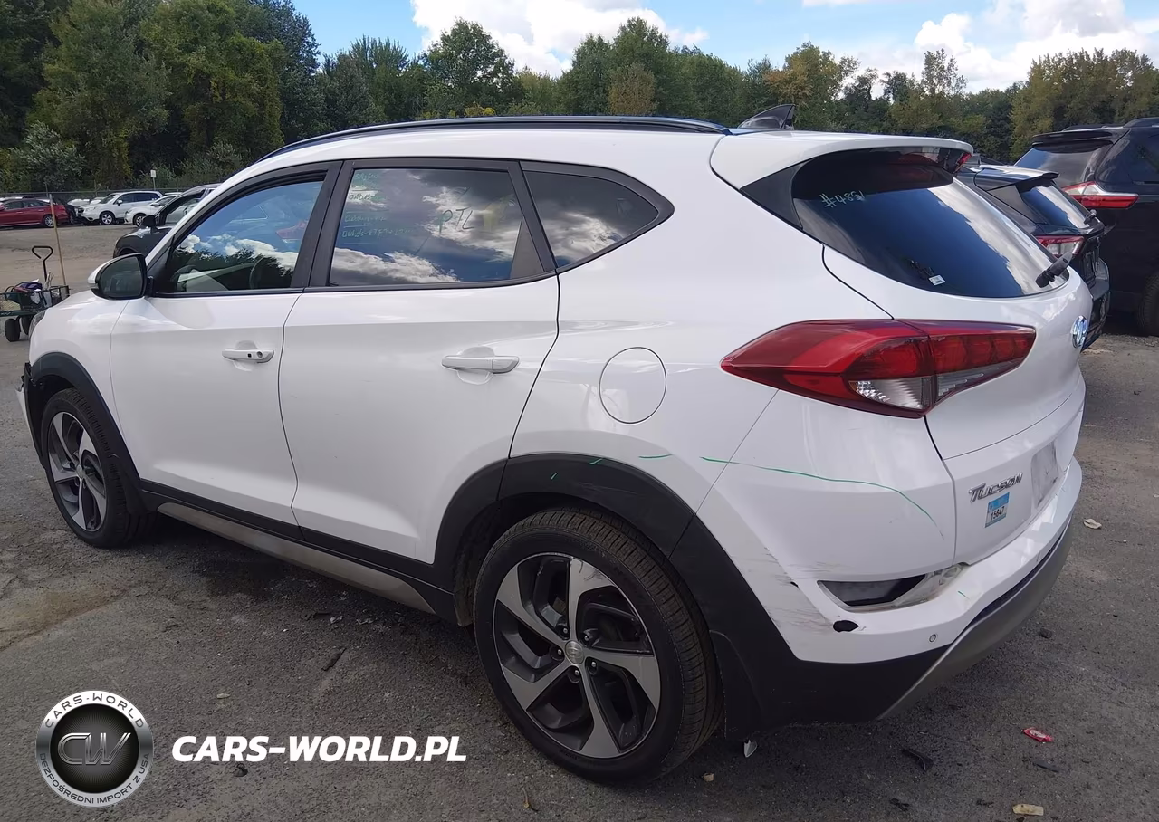 2018 Hyundai Tucson Value VIN:KM8J3CA24JU725619 - 3