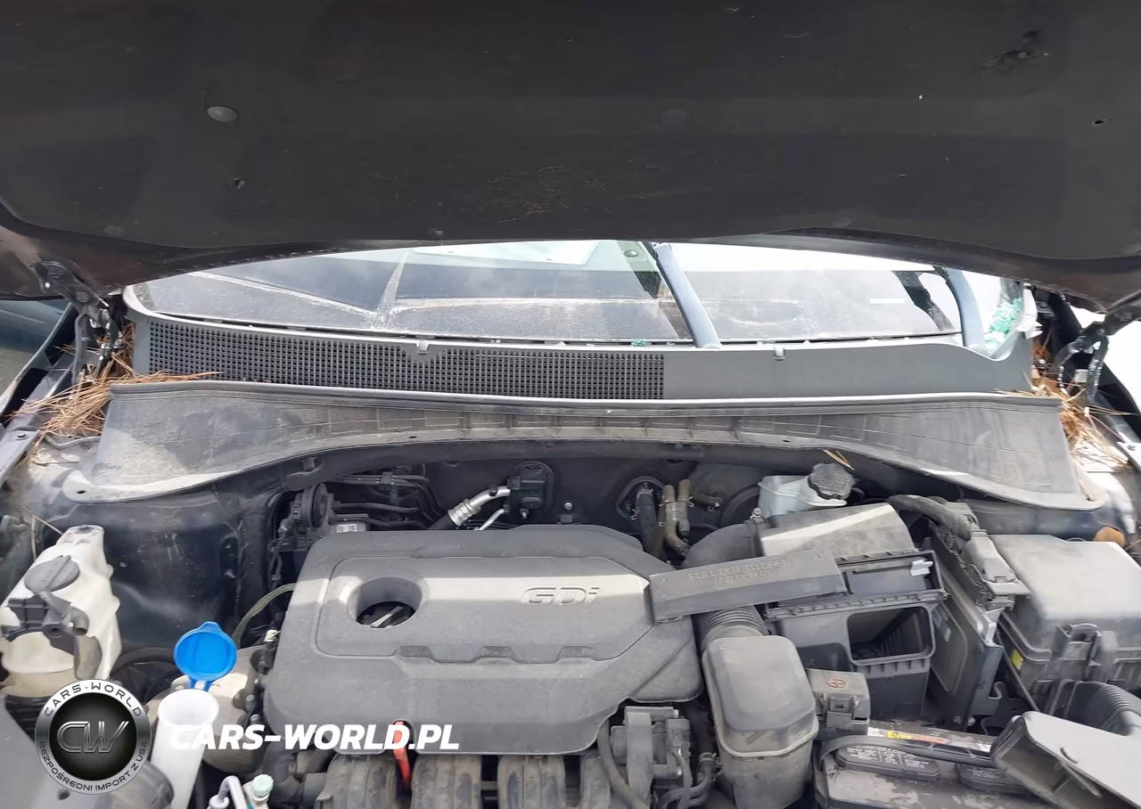 2018 Kia Sorento 2.4L Lx VIN:5XYPG4A36JG376871 - 10