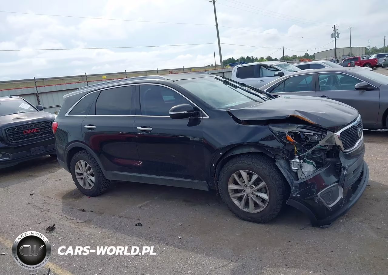 2018 Kia Sorento 2.4L Lx VIN:5XYPG4A36JG376871 - 13