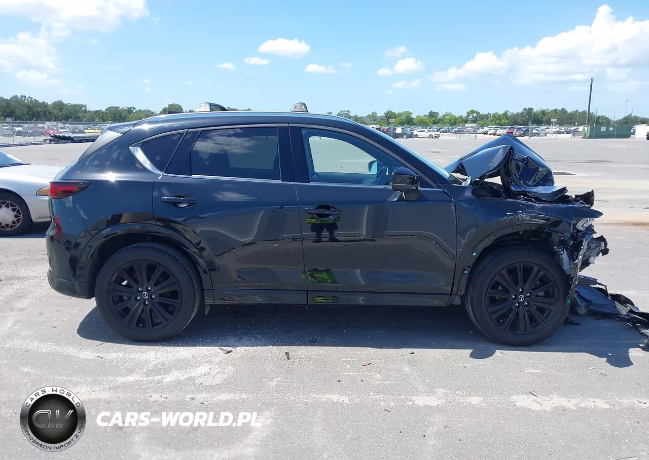 2025 Mazda Cx-5 2.5 Turbo Premium VIN:JM3KFBDY4S0624509 - 14