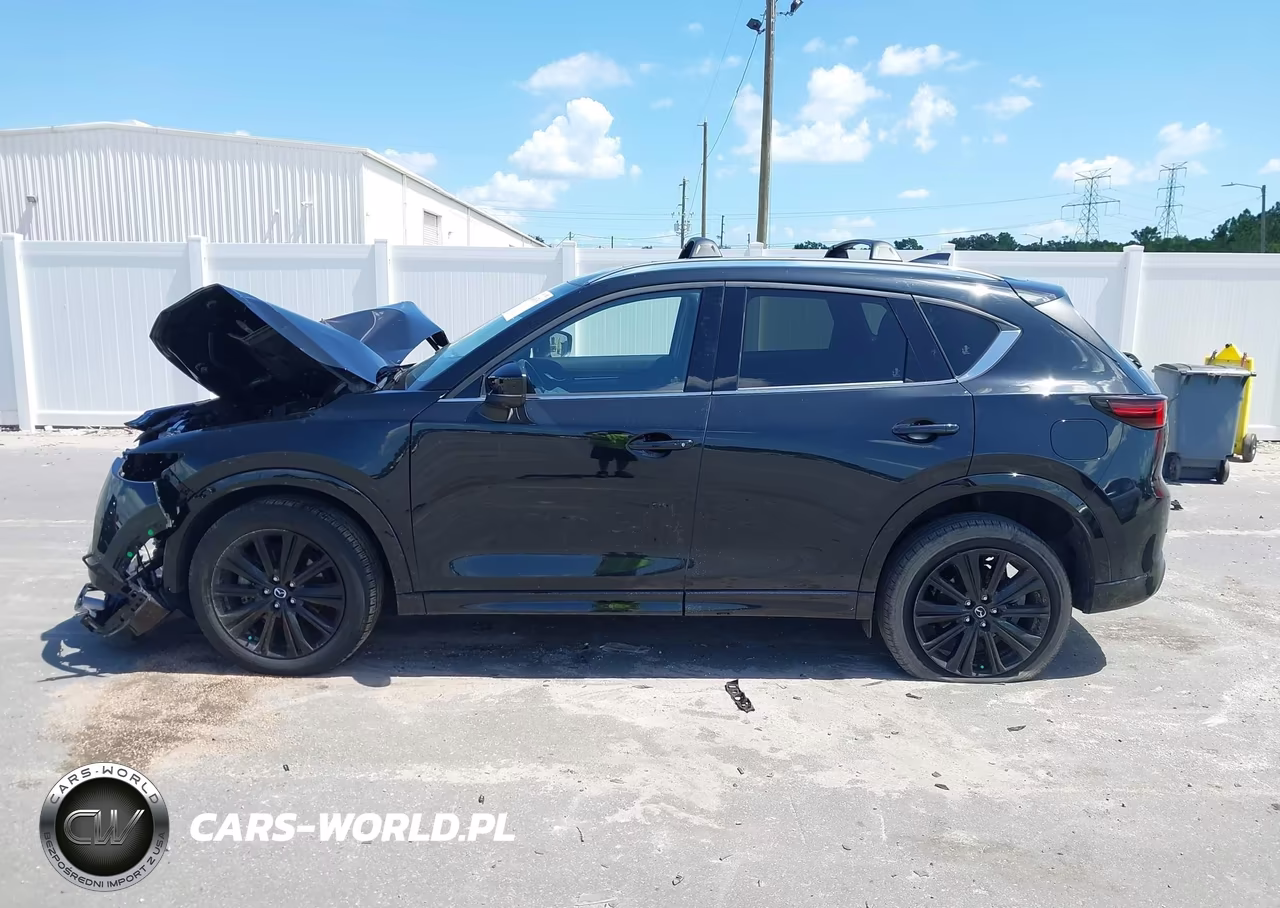 2025 Mazda Cx-5 2.5 Turbo Premium VIN:JM3KFBDY4S0624509 - 15
