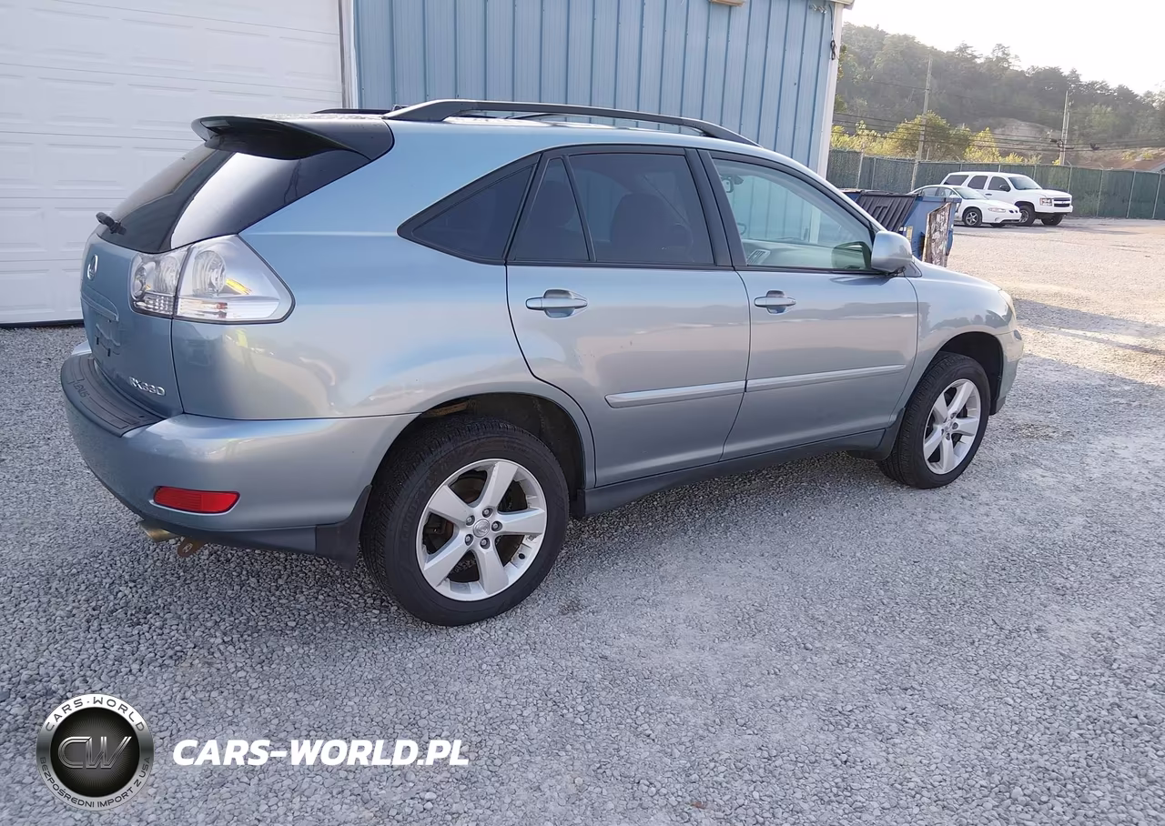 2006 Lexus Rx 330 VIN:2T2HA31U66C107910 - 4