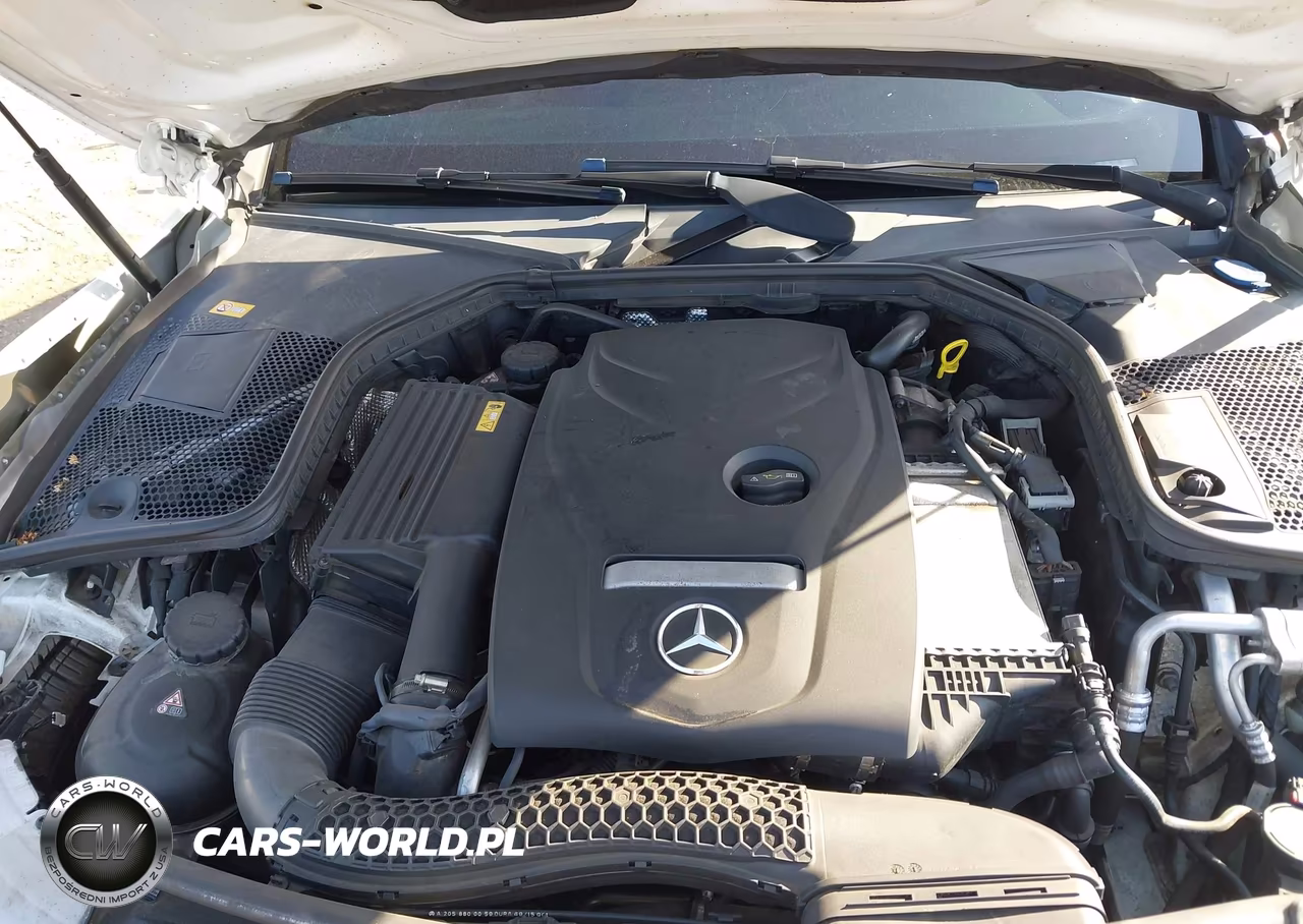 2017 Mercedes-Benz C 300 VIN:WDDWJ4JB2HF329196 - 10