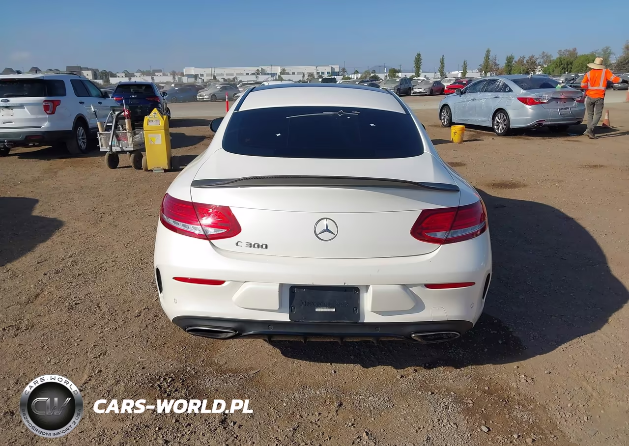 2017 Mercedes-Benz C 300 VIN:WDDWJ4JB2HF329196 - 17