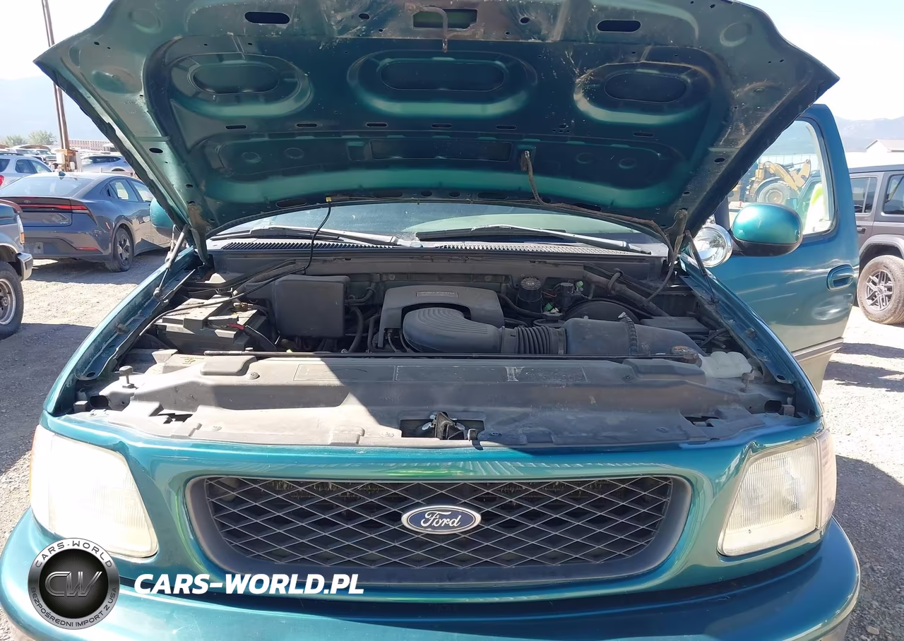 1998 Ford F-150 Lariat-Standard-Xl-Xlt VIN:1FTRX18L6WKB31647 - 10